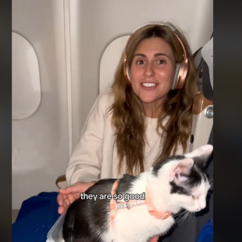 A woman with a kitten on board an airplane
