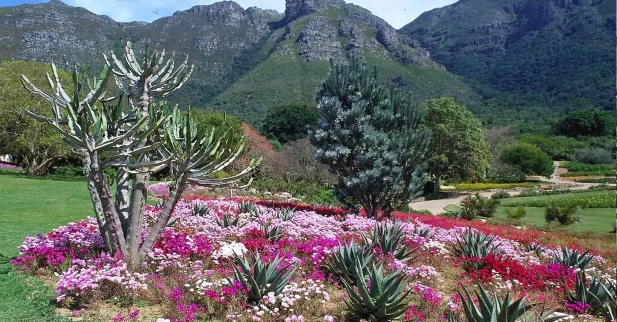 National Botanical Garden Kirstenbosch
