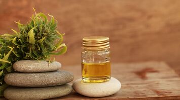 Spa resorts in New Jersey: 10 places for full relaxation and rejuvenation