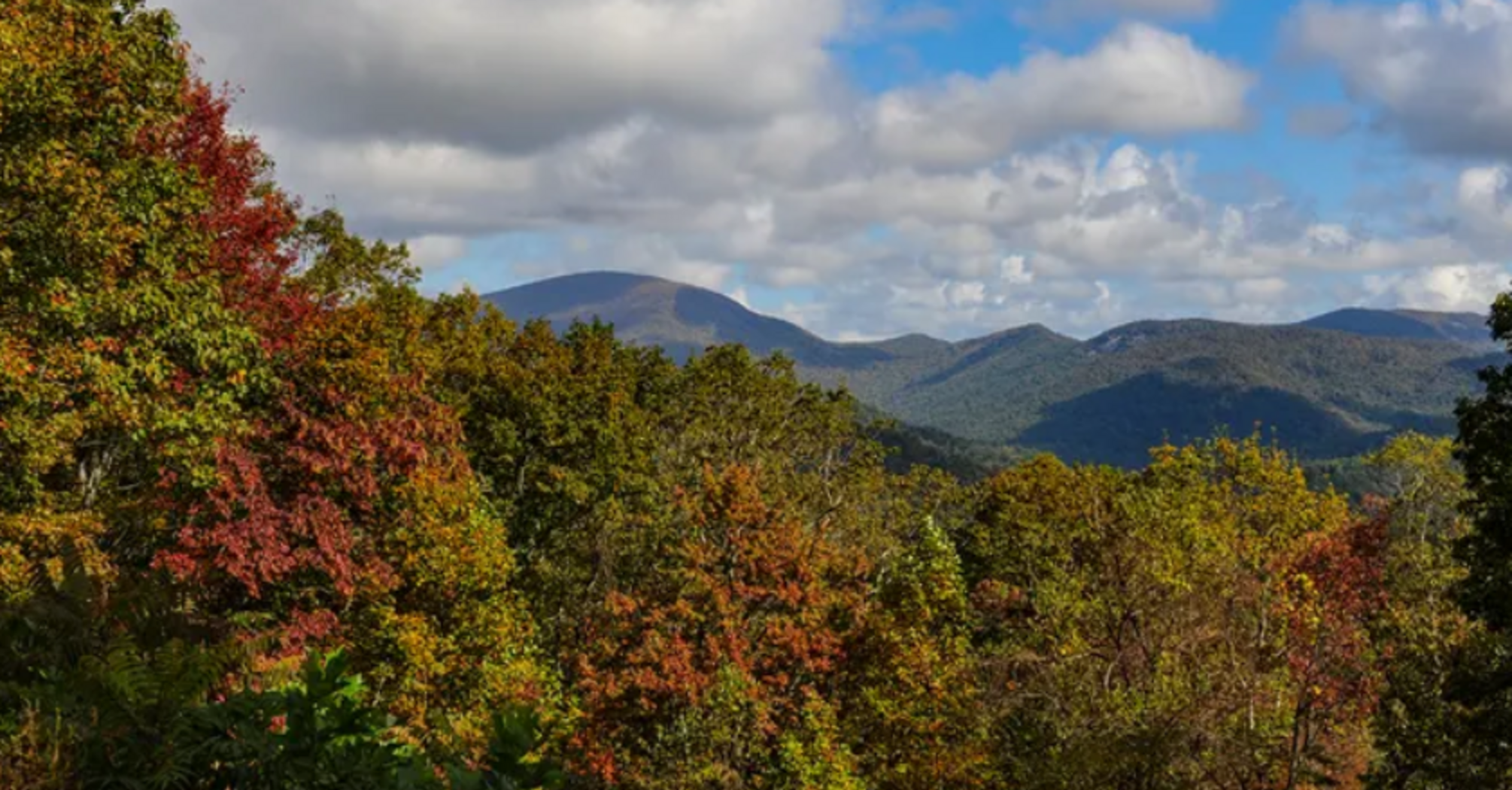 Autumn leaves in Dahlonega, Georgia, in the Appalachian Mountains