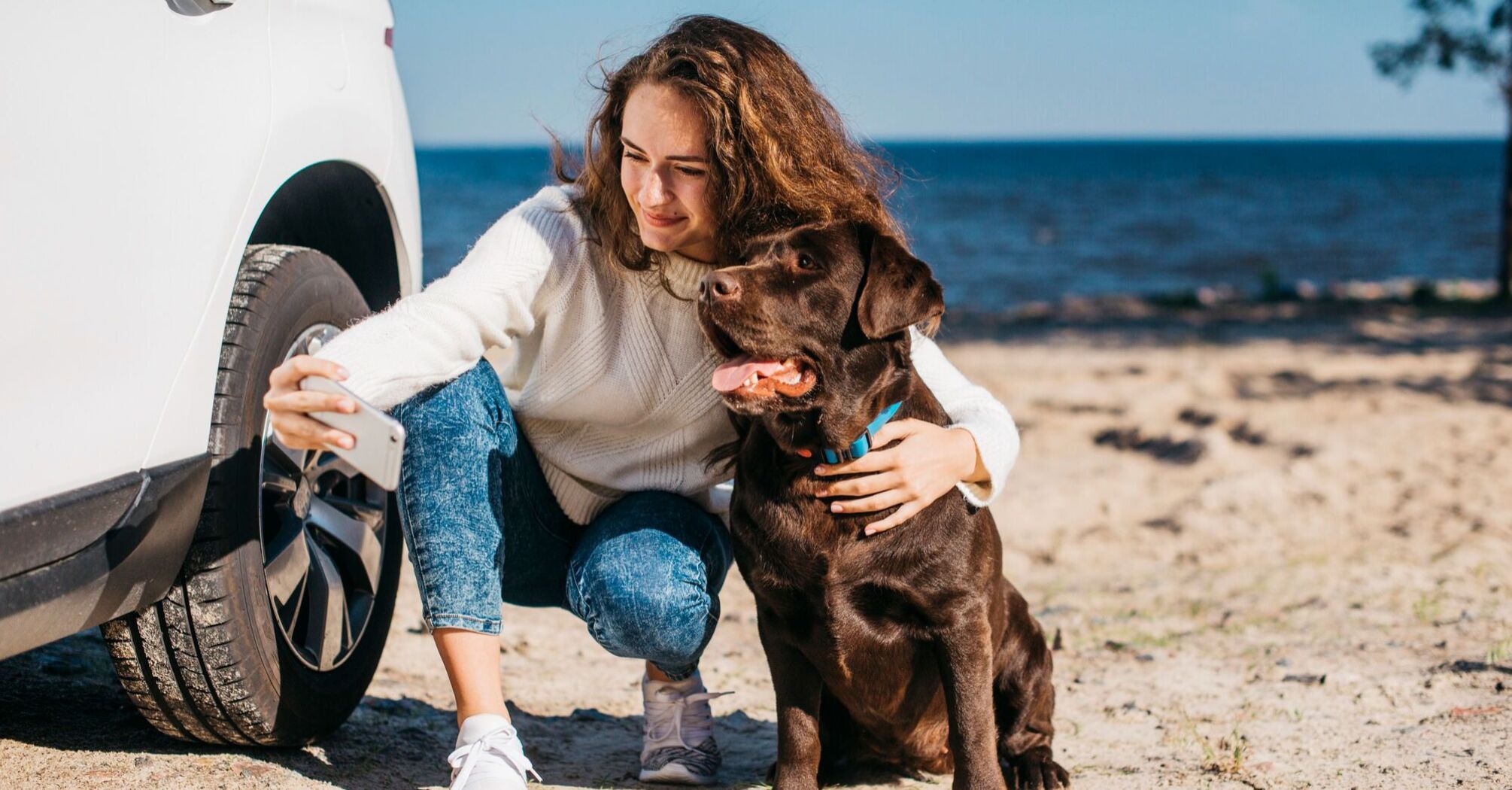 Leave at home or take with you: why dogs are the best companions during travels