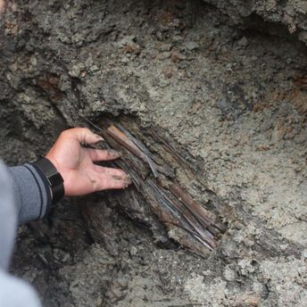 The world's oldest decimal multiplication table