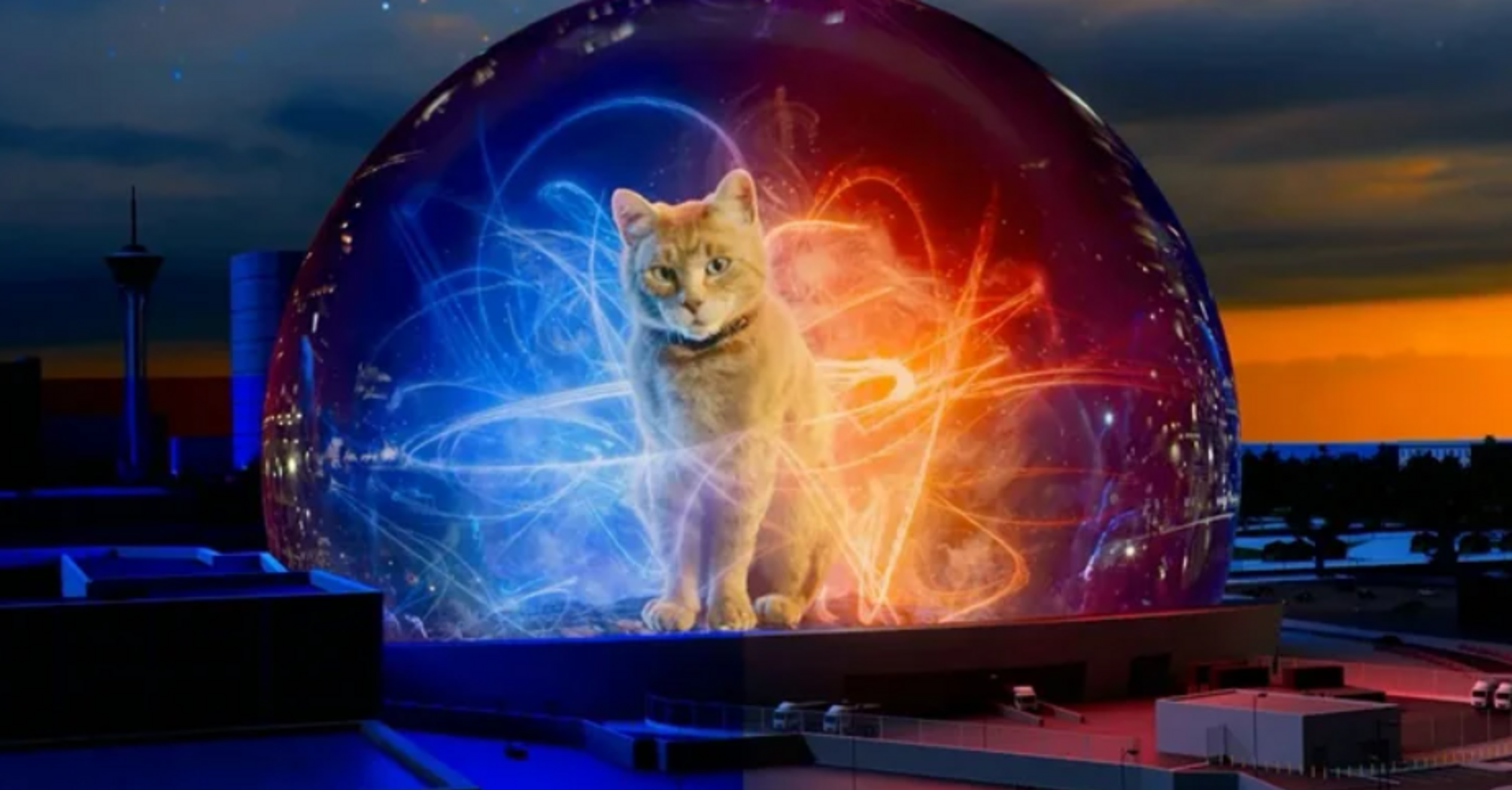 A giant cat has taken over the MSG Sphere in Los Angeles
