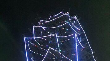 The residents of the town on the coast of Australia are outraged by the "pitiful" Christmas tree