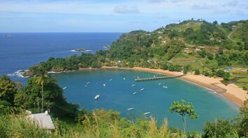 The land of hummingbirds, or why you should visit the island of Tobago