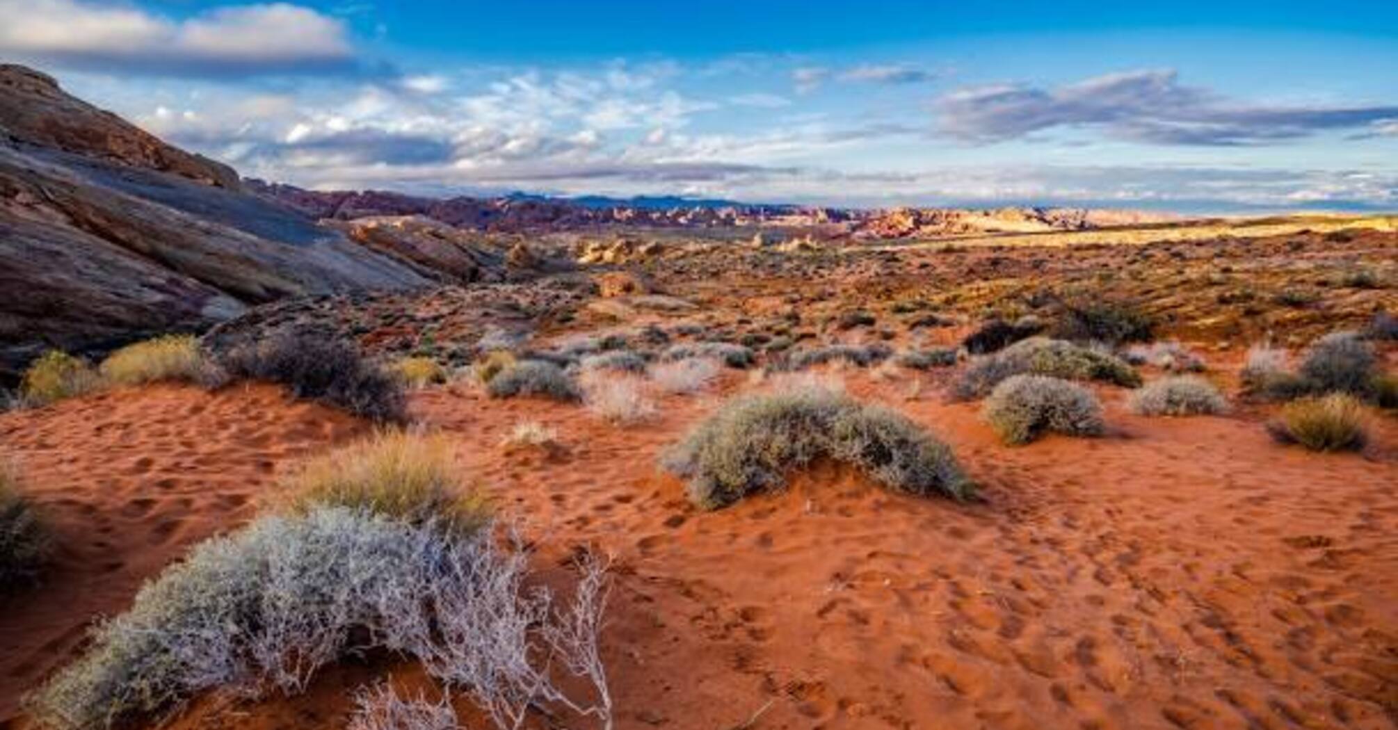 Mojave Desert