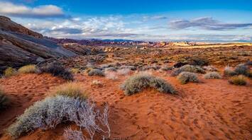 Mojave Desert