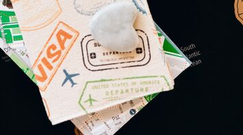 A tourist from Singapore paid $192 for an Australian visa that costs $20: here's what she did wrong