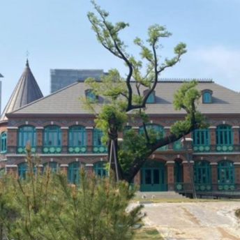 The incredible beauty of the royal residence returns: the reconstructed Dondeokjeon Hall is open to tourists