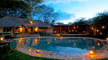 Starry nights in the company of lions: an unusual honeymoon is offered to romantics in Kenya