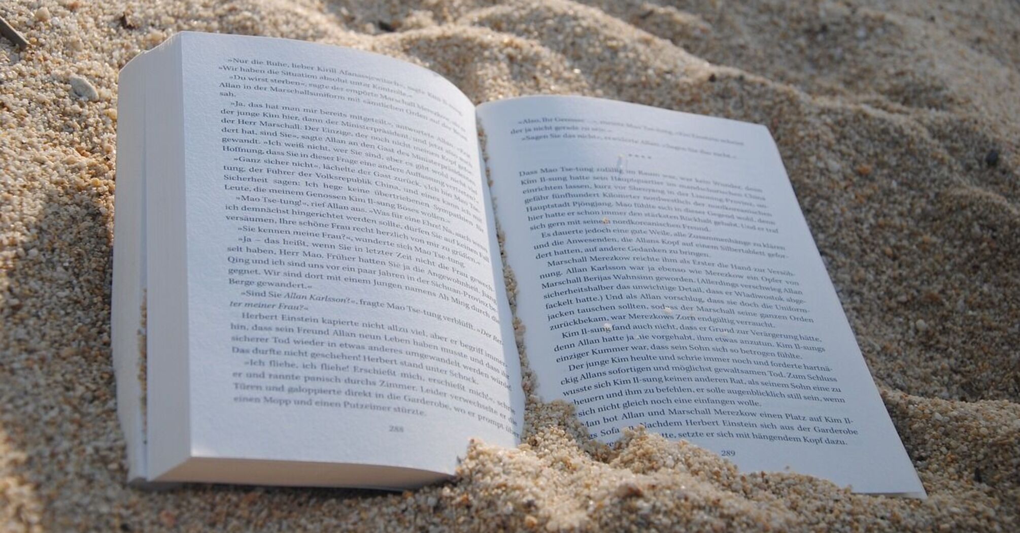 Best summer books to read: TOP 12 books worth reading this summer 