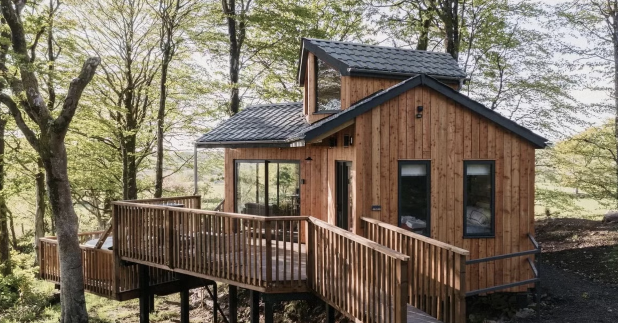 Holidays in a tree house: 8 best places in the UK