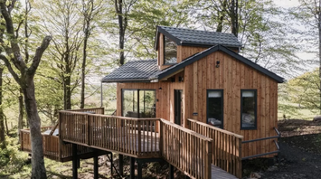 Holidays in a tree house: 8 best places in the UK