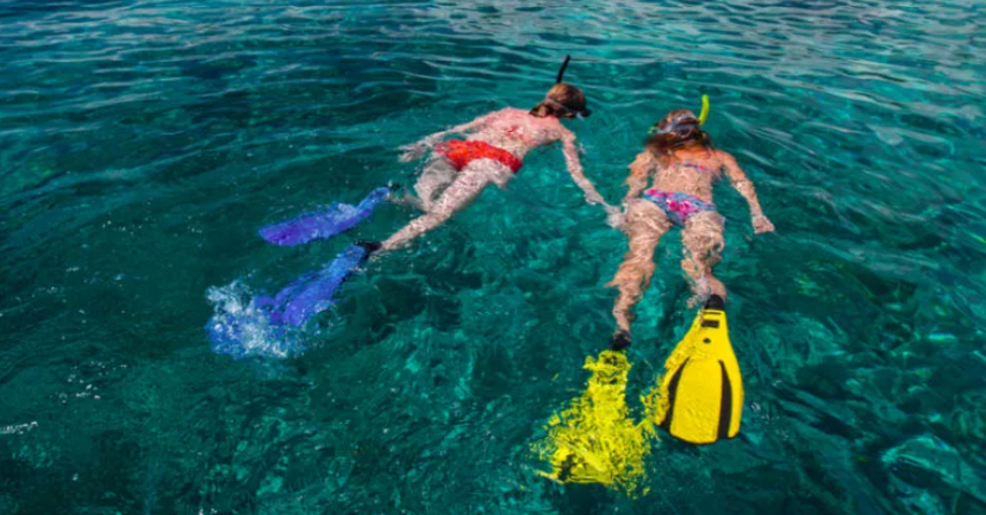 An unpleasant surprise: Bali imposes diving and snorkelling fees for tourists