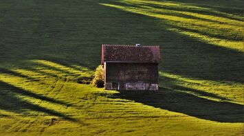 Where to escape from civilization: the best US states for off-grid living