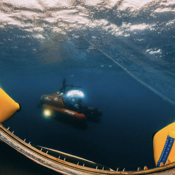 An alarming discovery was made at the bottom of Belize's famous Blue Hole: details and video