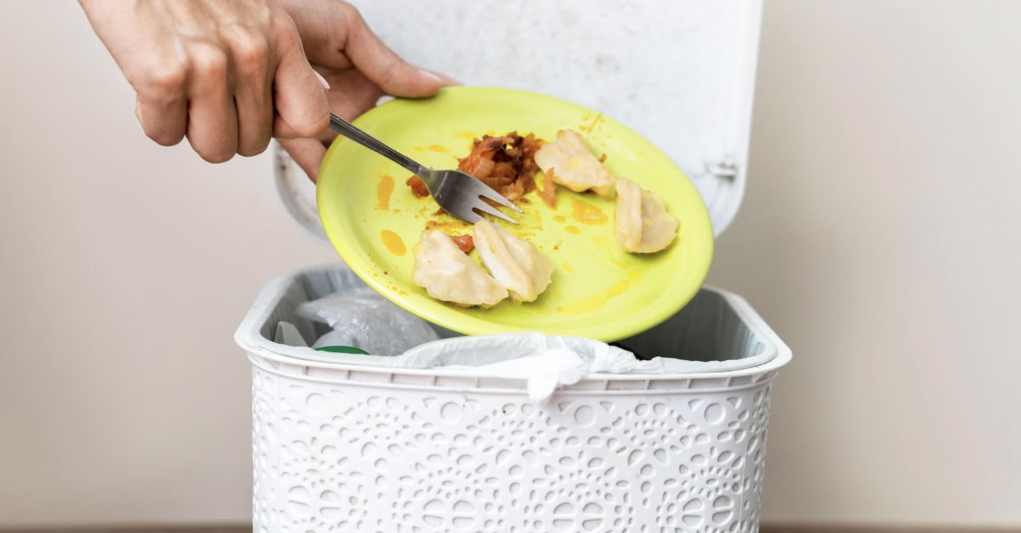Almost 95% of households in Ireland throw away food