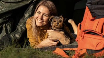 What to take to make camping comfortable for your dog: top 5 things
