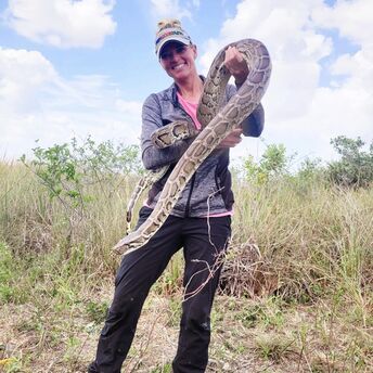 Indiana woman quits stable job to hunt pythons: incredible story