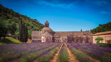 Best regions of France: 8 scenic destinations for gourmets and wine travellers