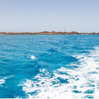 Shark attacks tourist in Egypt