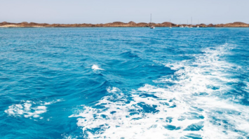 Shark attacks tourist in Egypt