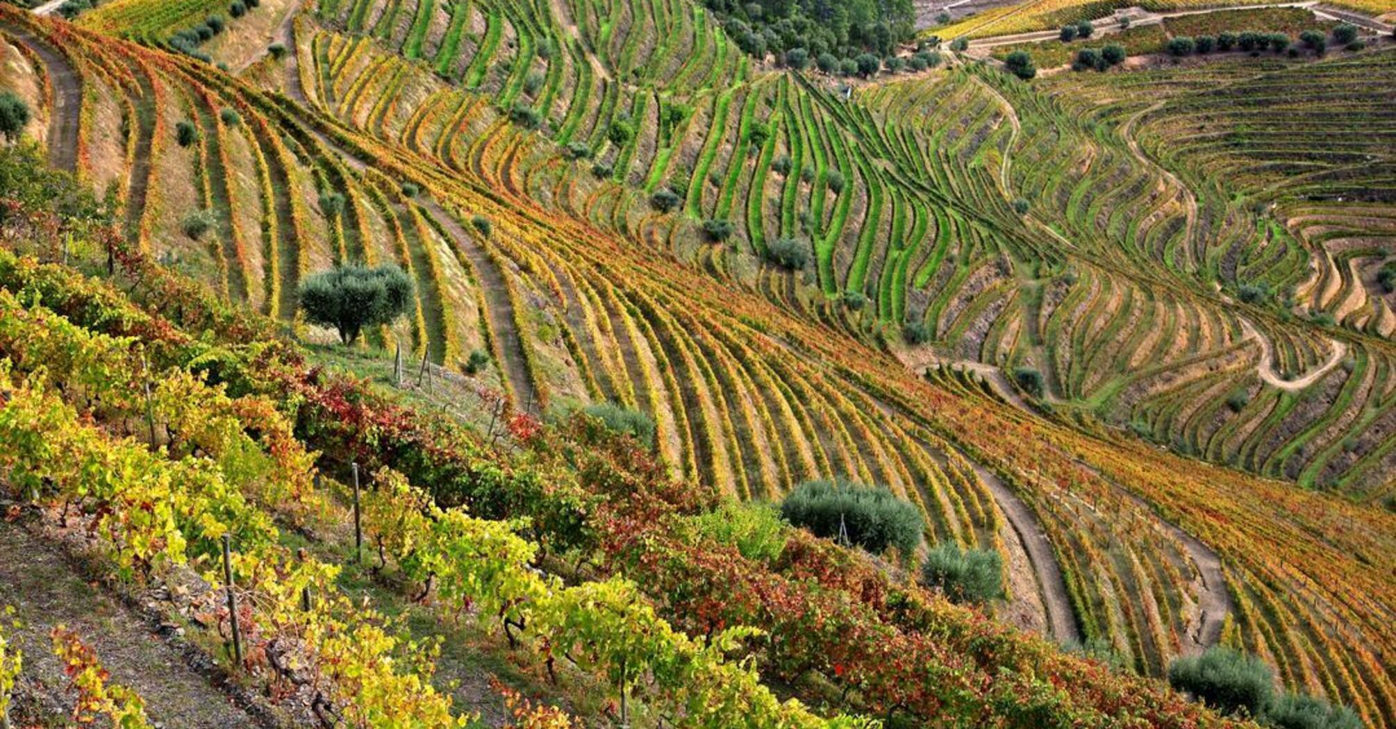 Douro Valley