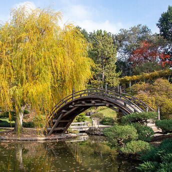 Top 7 best botanical gardens in L.A. from huge and exotic parks to rooftop oases