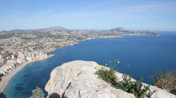 Piranha-like: dozens of tourists complain of bites at popular Spanish resort