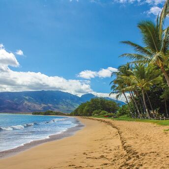 Best beaches of Hawaii: 8 vacation spots with a paradisiacal atmosphere