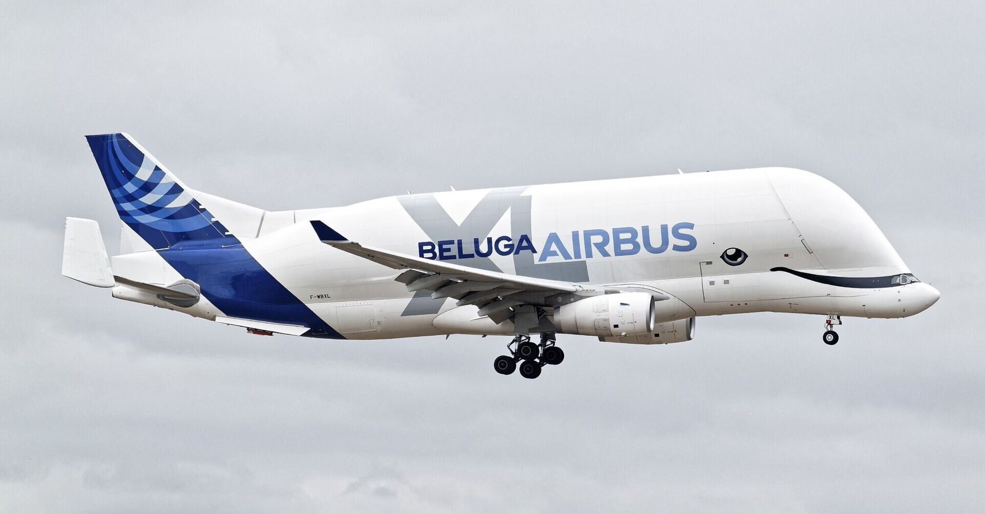 Airbus Beluga: An overview of the whale-shaped cargo plane