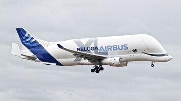 Airbus Beluga: An overview of the whale-shaped cargo plane