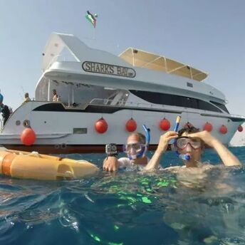 A 12-meter-long shark has appeared on the beaches of Hurghada