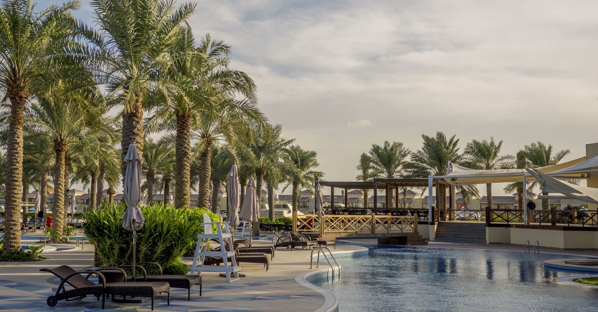 Bahrain palm and pool