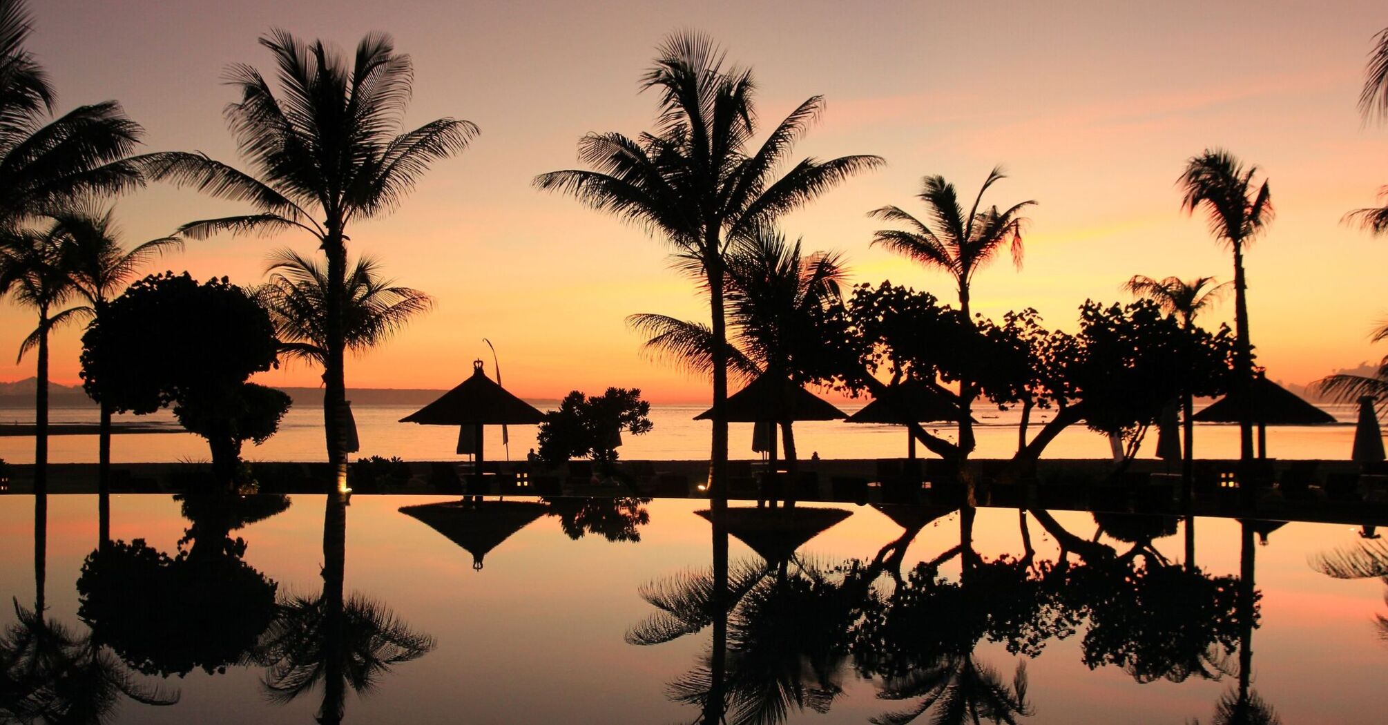 Bali palm sunset