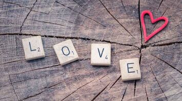 Love compatibility: Which zodiac sign pairs create the perfect union