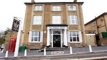 In the unique Karen's Hotel, guests are greeted by rude staff, and the room can be anything: what it looks like