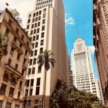 São Paulo Trees and Buildings