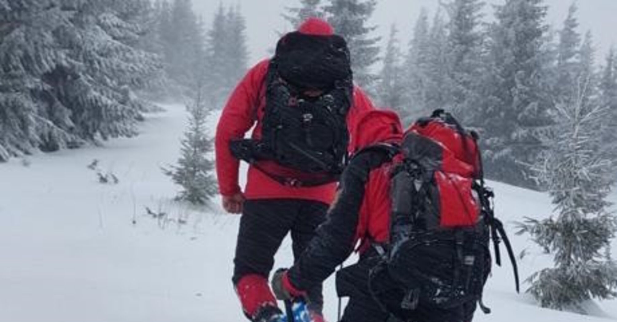 Rescuers search for a Frenchman, who disappeared 2 weeks ago while conquering the highest peak of the Carpathians, Hoverla. Photos