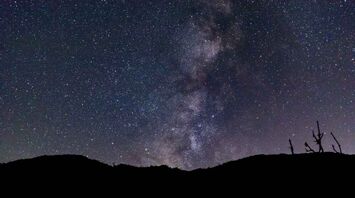 These zodiac signs will be lucky this week
