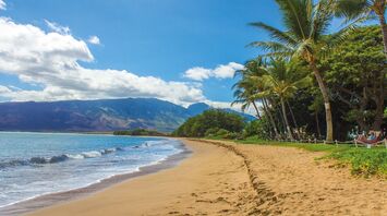 Tips for responsible travel to Maui