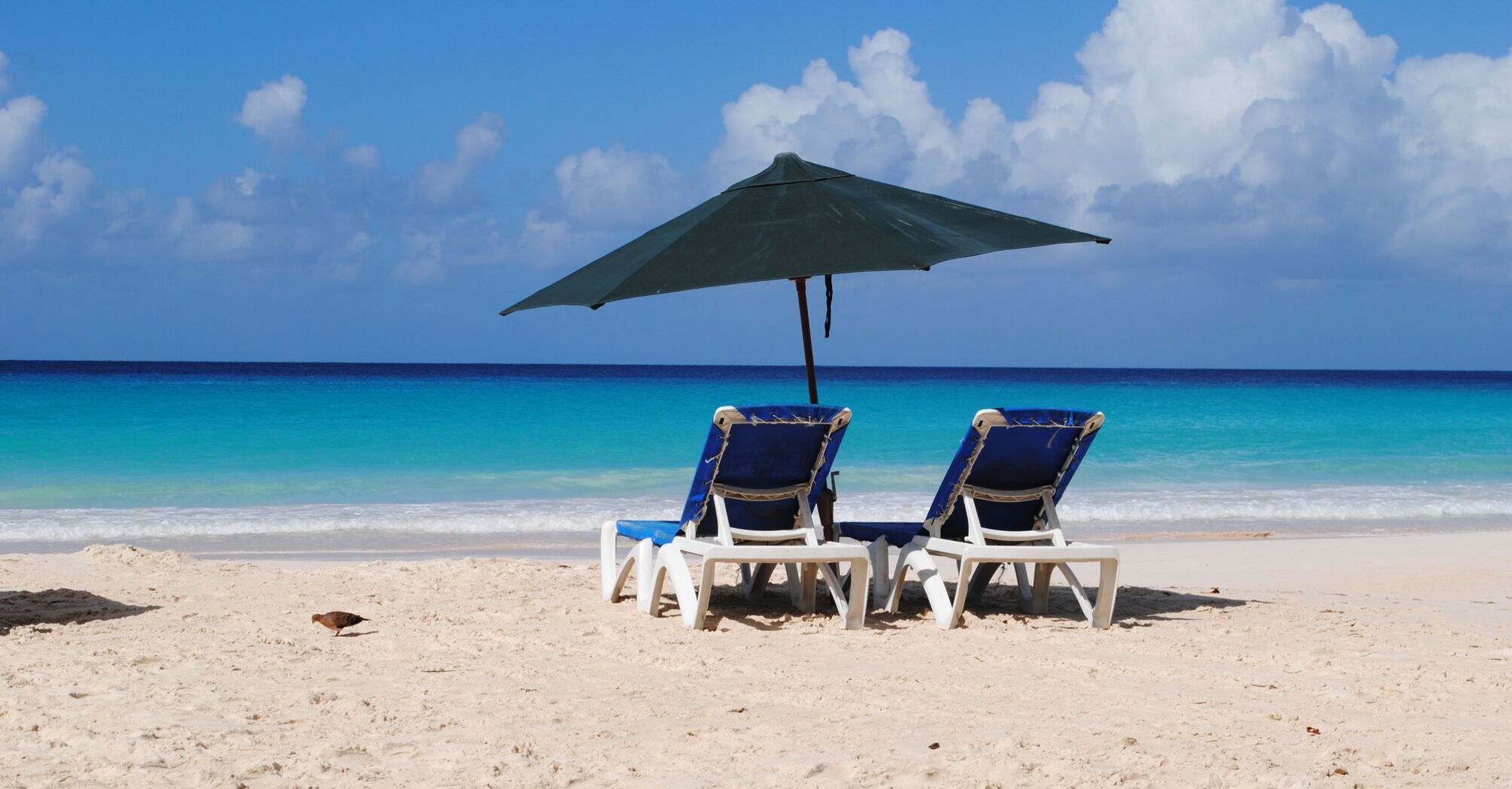 Sun loungers on the sea beach of Barbados