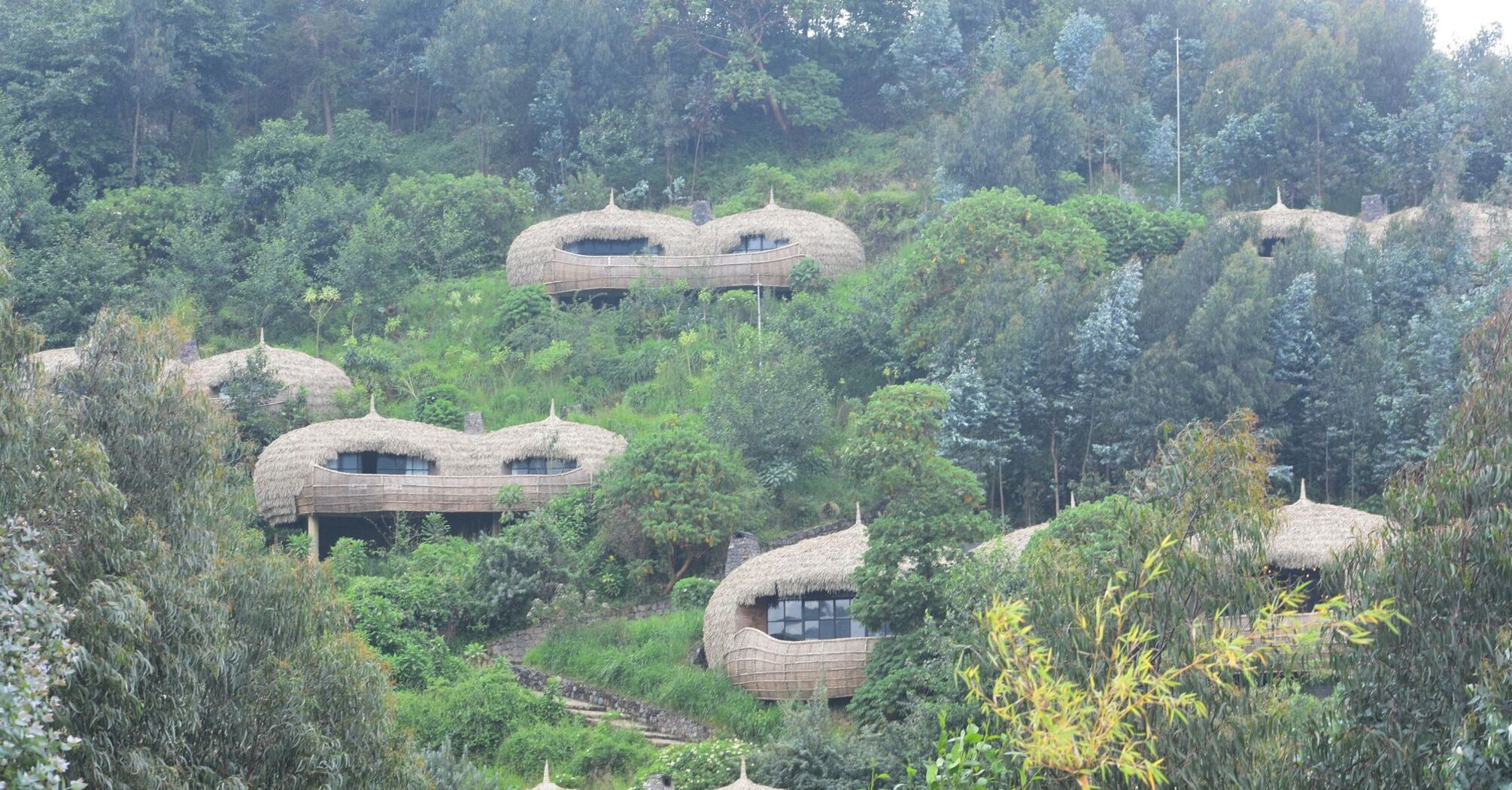 Houses in Bisate National Park
