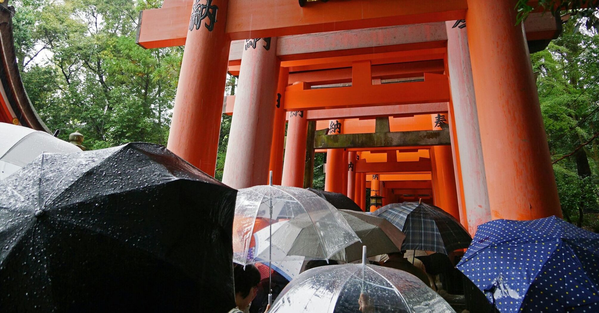 A group of japanese tourists with umbrellas