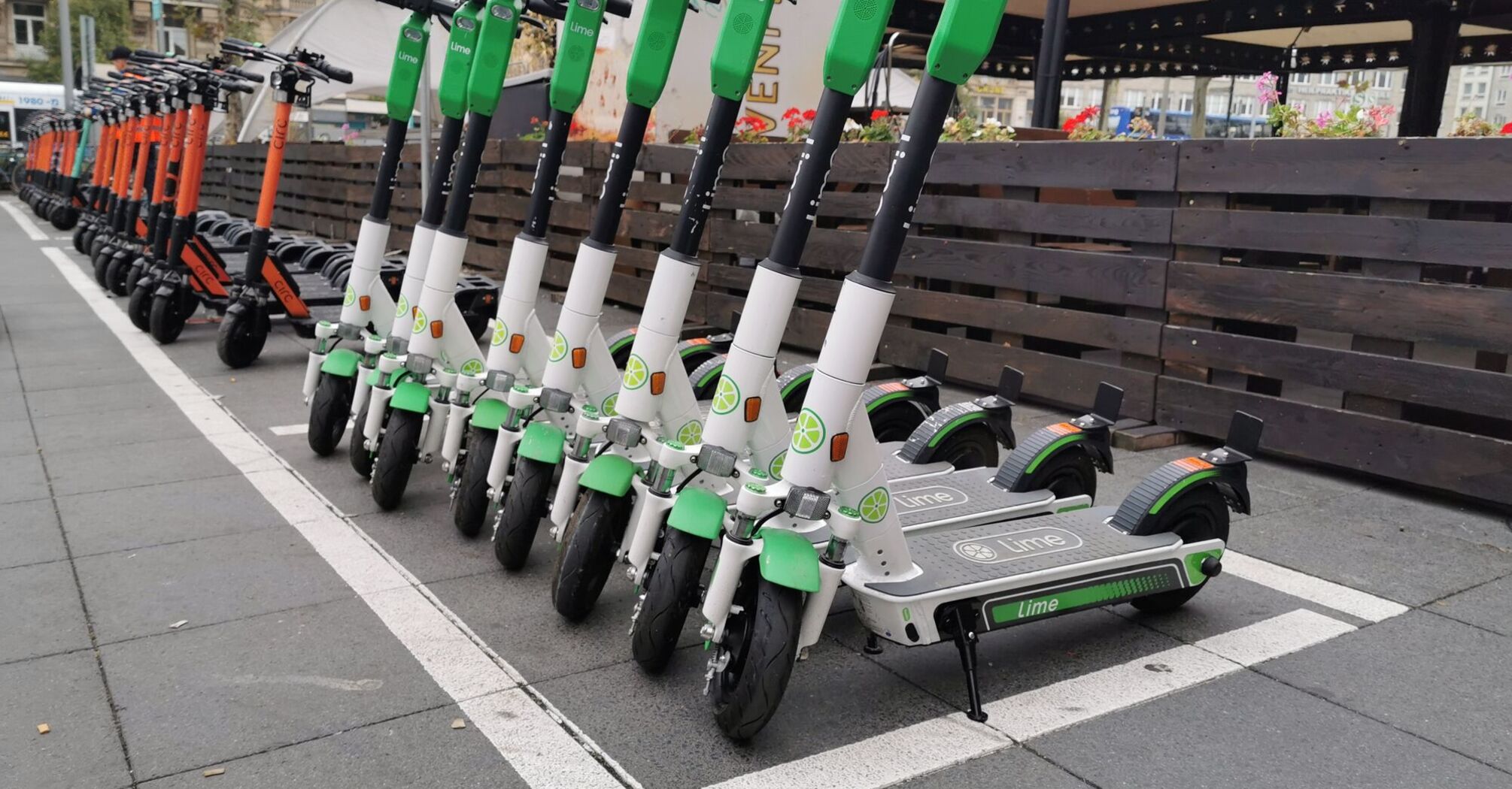 Fast and comfortable: what you should know about renting an electric scooter in the UAE