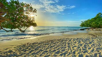 Aruba beach, sand sea and trees