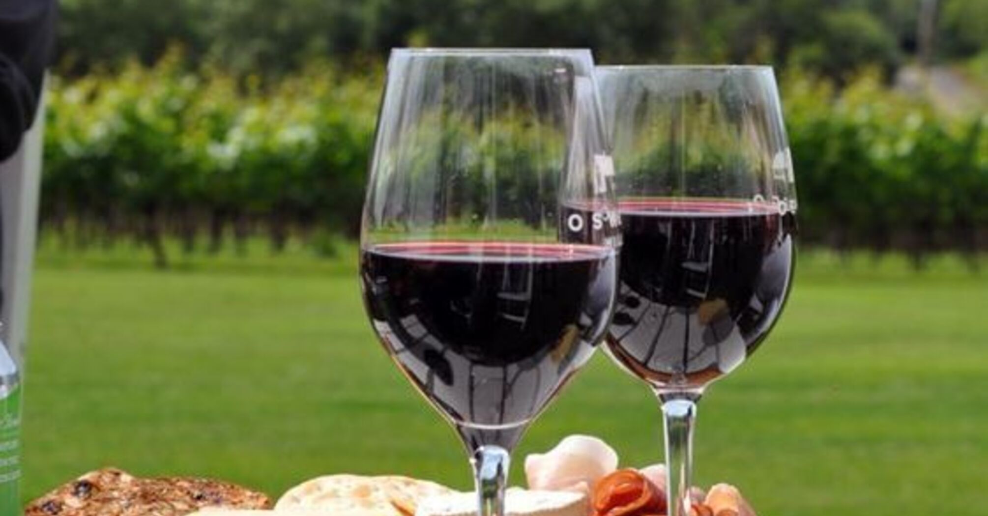 Wine tourism is gaining popularity in India: What is it