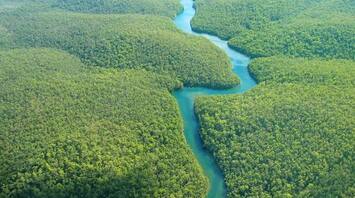 Brazil wants to build a highway through the heart of the Amazon rainforest