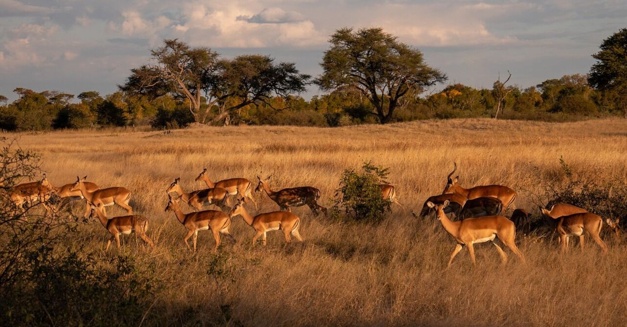 Travel to Zimbabwe: what two UNESCO World Heritage Sites can be found here