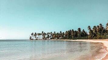 A serene tropical beach with clear turquoise waters gently lapping against a sandy shore, lined with a grove of tall palm trees under a clear blue sky